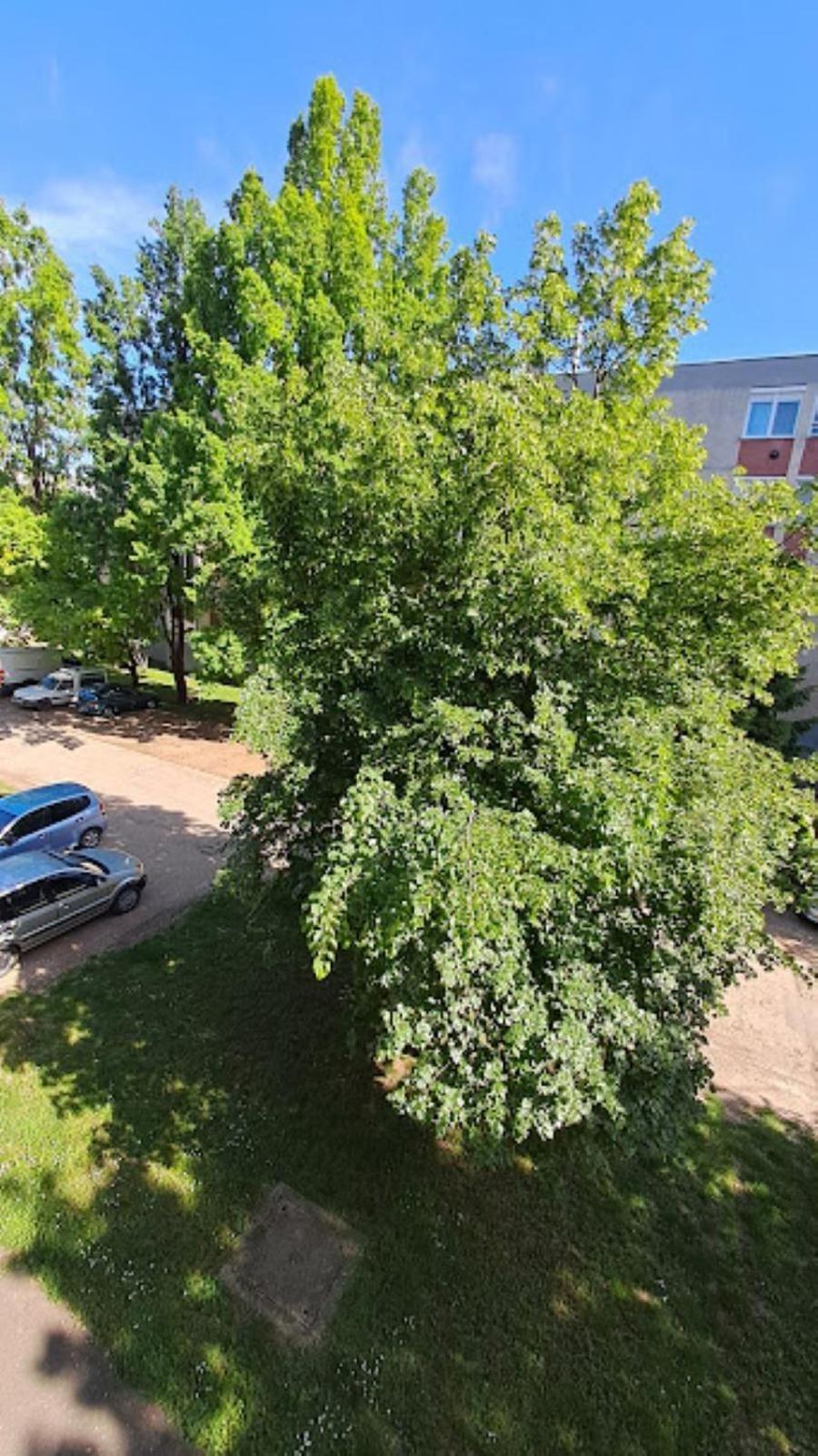 Szilfak City Apartman Hajdúszoboszló Zewnętrze zdjęcie